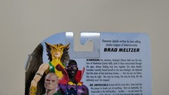 DC Direct Justice League of America Batman (See Photos)