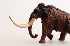 Earth Story Mammonteus Primigenius Model Elephant Animal Figure Xmas Gift