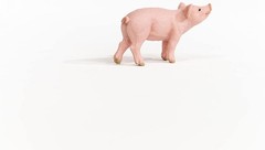 schleich 13934 Piglet, From 3 Years Farm World – Figurine, 6 X 2 X 3 cm new vers