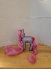G3 My Little Pony Petal Blossom