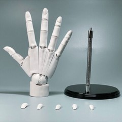 1:1 Hand Model Sculptures Movable Finger Joint Anime Painting Element Art Tool
