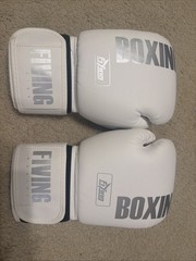 FIVING Boxing Gloves for Men and Women Suitable 10oz