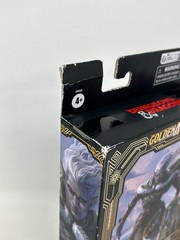 Hasbro Dungeons & Dragons R.A. Salvatore’s The Legend of Drizzt Golden Archive D