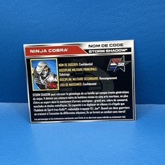 VERY NICE 2015 GI Joe 50th Anniversary File Card STORM SHADOW English Version