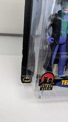 Batman Spectrum of the Bat Terrorcast Joker (See Photos)