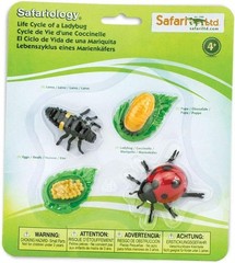 Interactive Life Cycle of a Ladybug Toy for Ages 3+ with No Assembly Required