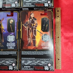 Hasbro Dungeons & Dragons Golden Archive 6″ Figures- Simon, Forge, Edgin & Holga