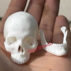 1/6 Scale Human Beings Skeleton Resin Model for 12″ Action Figure Accessory Toys