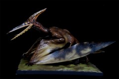 DINO DREAM 1/15 Pteranodon with Base Dinosaur Model GK Animal Figure Toys Gift