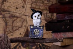 Nemesis Now Avian Spell Owl Figurine Purple 12.5cm, Resin, Blue Avian Spell Figu