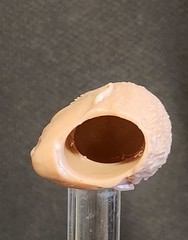 Russell Crowe Maximus Decimus Meridius Custom Head Sculpt 1/10 1/6