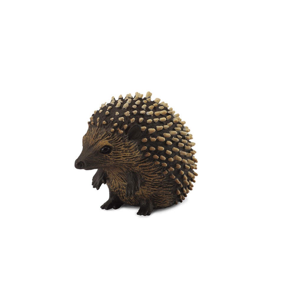 CollectA Realistic Animal Replica Hedgehog Figure Small Ages 3 Years and Up