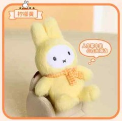 VIPO X MIFFY MACARON SERIES PLUSH KEYCHAIN BLIND BOX HOT CUTE TOY GIFT