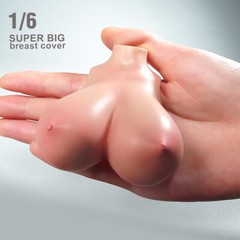 1/6 Female Suntan Huge Breast Kits Cover Model Fit 12” PH TBL Figure Body Doll