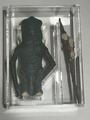 VINTAGE KENNER STAR WARS 1985 POTF POWER OF THE FORCE LOOSE AMANAMAN AFA 85