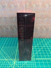 DSTOYS 1/12 Scale Legendary Outlaw Figure Standard ED “US SELLER & I SHIP DAILY”