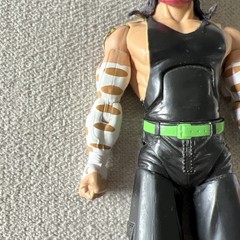 2005 WWE Jakks Pacific Jeff Hardy Deluxe Aggression Action Figure Series 21 WWF