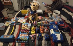 Huge Lot of Paw Patrol Figures, stuffed animals, books, mini paws, (see pics)