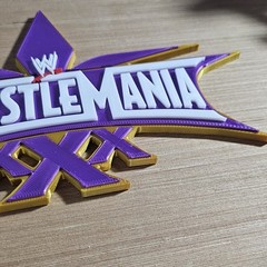 WWE Mattel WrestleMania 30 Logo Accessory