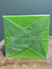 Authentic Hacipupu × Teletubbies Collectible Figure – Dipsy Sealed