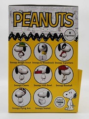 Peanuts Snoopy Woodstock Blind Ball Figure New Official Exclusive Sealed Case