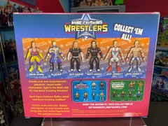 FC Toys Wrestling Bone Crushing Wrestlers Matt Jeff Hardy Figures BCA Lot 1/500