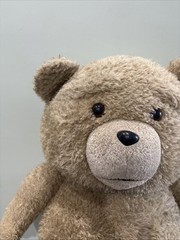 Ted Movie talking 24 in Plush 2012 Movie Explicit Talking Works *Read*