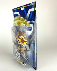 WWE Triple H Action Figure Jakks Pacific WrestleMania XX Champions Never opened