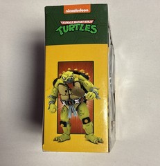 NECA TMNT Teenage Mutant Ninja Turtles Tokka And Rahzar Cartoon 2 Pack Brand New