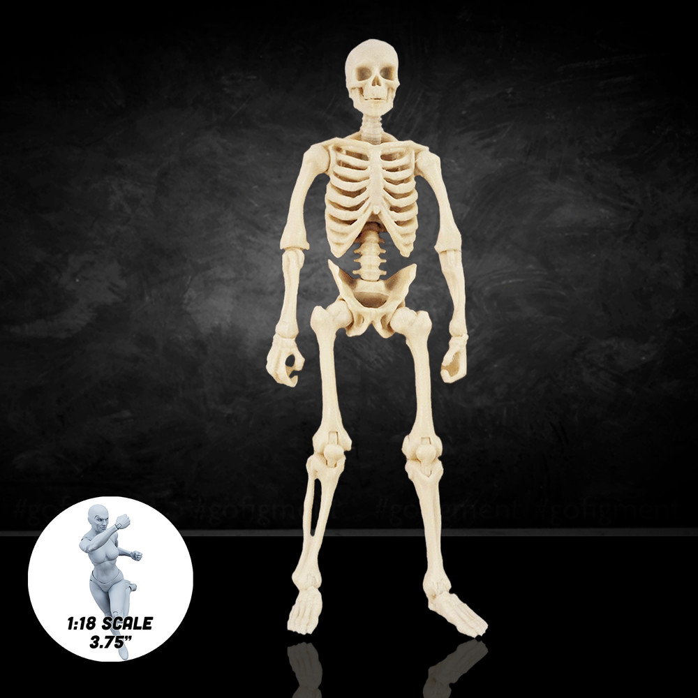 Bone White Skeleton Vitruvian H.A.C.K.S. Customizer Series Action Figure Blank