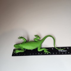 Realistic Lizard Toy Figures Set of 3 Iguana Komodo Dragon Frilled Lizard 8″
