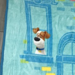 The Secret Life Of Pets 2 Plush Throw Blanket Lovey 37×47” Very Hard To Find!