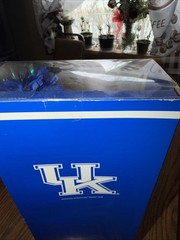 Barbie Pink Label UK University of Kentucky Cheerleader Doll RARE