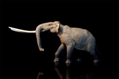 TNG Huanghe Flumen Stegodon Model Elephant Animal Figure Toys Decor Xmas Gift