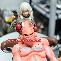 Sexy Anime Girl Figure Mitsuhime 1/6 PVC Model Doll Collectible New No Box