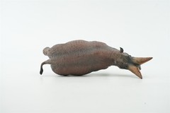 TNG Arsinoitherium Model Decor Animal Figure Adult Kids Children Toys Xmas Gift