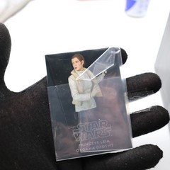 PRINCESS LEIA ORGANA (HOTH) MINI BUST – STAR WARS #567 of 1,750 – GENTLE GIANTS