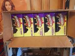 1998 Hasbro / Kenner Universal Monsters Signature Series 12-inch NEW IN BOX