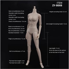 ZY TOYS 1/6 Scale LARGE Bust Caucasian skin tone Female Body N003