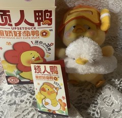 Upset Duck V1 Plush Toy Confirmed Blind Box