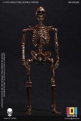 101TOYS ES026 1/12 PALM ELF SERIES SKELETON FRAM Rose Gold Edition Figure Toys