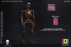 101TOYS ES026 1/12 PALM ELF SERIES SKELETON FRAM Rose Gold Edition Figure Toys