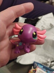 1x Axolotl #222 LITTLEST PET SHOP BLACKLIGHT EXCLUSIVE OFFICIAL FIGURE
