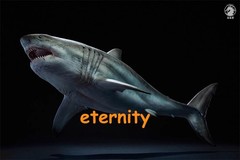 W-Dragon 1/35 Megalodon Prehistoric Shark Dinosaurs Model Statue Toy IN STOCK