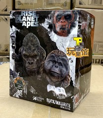 STAR ACE TOYS Dawn of the Planet of the Apes Maurice 1/12 Action Figure New2024
