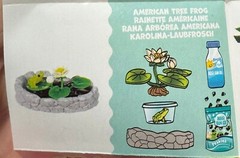 MGA Entertainment Miniverse Make It Mini Lifestyle Nature Series 2 YOU PICK Open