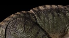IN STOCK Nanmu Alpha Sovereign of the Oath Tyrannosaurus Rex 3.0 Action Figure