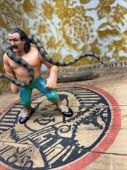 WWF Jake the Snake Roberts with Damien Hasbro Series 1 Figure WWE 1990