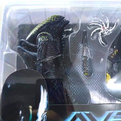 NECA Grid Alien vs Celtic Predator AVP Xenomorph 7″ Action Figure RIVALRY REBORN
