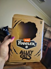 Fugglers Alley Cats